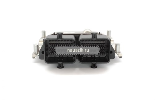 Контроллер 315195 Хантер  0 261 S09 539   с двиг 40905 Евро-4 - фото 10600