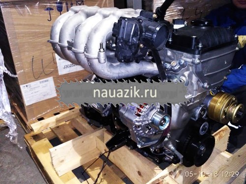 Двигатель ЗМЗ-40522 А Гz-3302, 2705,2752,3221  Евро-4 (АИ-92) с ремнем прив.агрегатов-100 - фото 13072