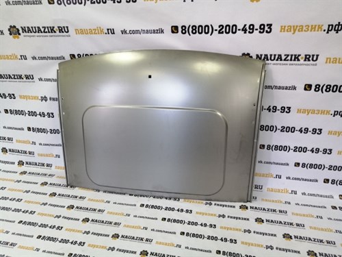 Панель крыши 3162, 3163 передняя часть, грунт - фото 18504