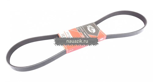 Ремень 1195 привода ГУРа (ЗМЗ-409  6/РК-1195) Gates - фото 8501