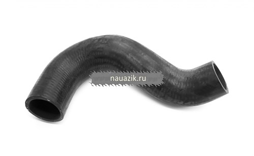 Шланг радиатора отводящий (3151-48-1303027-00) - фото 8645