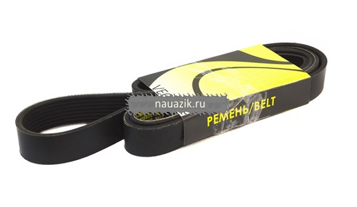 Ремень 2015 поликлиновой (8 РК 2015) дв.CUMMINS 3.8